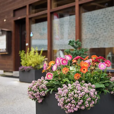 Alpennest Hotel Leutasch