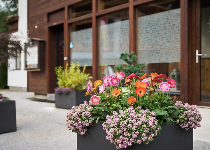 Alpennest 酒店 洛伊塔施